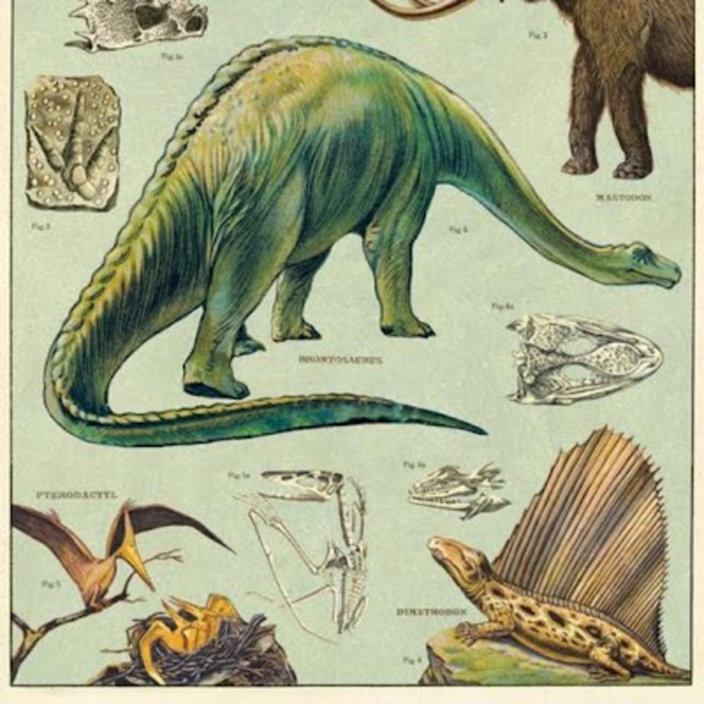 Meet your Posher, Lily